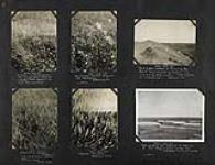 [The landscape and flora, Atkinson Point, N.W.T.] 1927