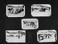 [Rassembleurs avec des rennes attelés à des traîneaux possiblement prises sur l'île Richards, T.N.-O.] [1942].