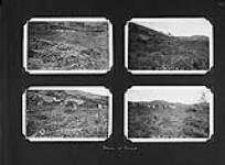[Troupeaux des rennes broutant sur un terrain vallonné, probablement l'île d'Anticosti, QC] [June-September 1922].