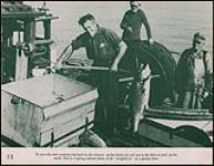 Pêcheur tenant un saumon sur une perche pendant que deux autres le regardent, tiré d'une publication de l'Office national du film du Canada « Pacific Coast Fishing » n.d.