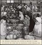 Des Indiennes [Première nations] travaillent avec célérité et habileté à la mise en conserves des crabes dans une manufacture située à Masset, C.-B. [between 1930-1960].