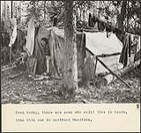 Jeune femme debout dans l'entrée de sa tente dans le nord du Manitoba [entre 1930-1960]