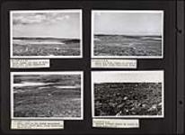 Views of tundra vegetation, lakes, and rocky ridges 1947.