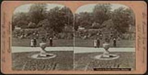 Three children standing on walkway near plant in urn, Public Gardens, Halifax ca. 1880-1926