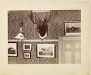 The Moose at home ca. 1884