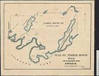 Plan of Timber Berth. No. XIX, on Sturgeon Lake, Ontario. Edmund Seager, P.L. Surveyor Rat Portage, 21st March 1890. [cartographic material] 1890