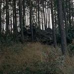 Fall Ex. Germany. Partly camouflaged Leopard Tank September 1977.