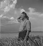A farmer in a wheat field 1955