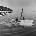 Marins-plongeurs 1957