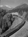 A train going through Canadian mountainside 1957