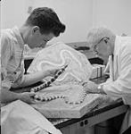 Archie Reid et M. L. Sternberg (à droite) 1958