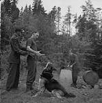 Un berger allemand de la GRC à l'entraînement 1958