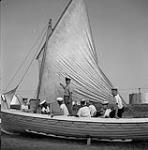 Apprentice sailors on a small sailing ship 1959