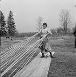 Ilona Berger vérifiant les suspentes de son parachute avant de sauter 1960
