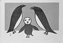 « Oiseaux » d'Achealak 1960