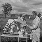Scientists examining flax plants 1960