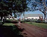 Charm of rural P.E.I. is enhanced by beautiful farms as one owned by Keith Cudmore. Near Charlottetown 6 June 1959.
