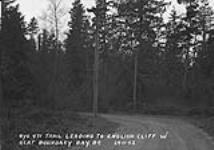 Trail leading to English Cliff W' - RCAF Boundary Bay, B.C November 29, 1943.