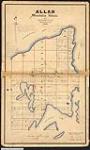 Plan of the township of Allan, Manitoulin Island, Ontario. / Francis Bolger, P.L.S 1866-1867.