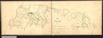 Plan of the Eagle's Nest and the adjacent lands in the township of Brantford , also plan of lots #'s 8 and 9 in the Eagle's Nest Tract in the township ofBrantford showing the land of M.D. Baldwin composed of the southeast part of #8and west part of #9. / O. Robinson, P.L.S 1862.