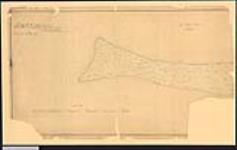 Plan of Fighting Island, Detroit River, with the adjacent marshes, also known as Ile aux Dindes or Turkey Island. / O. Bartley, P.L.S 1858.