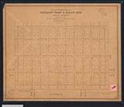 Plan of subdivision of Pheasant- Rump and Ocean-Man Indian Reserves Nos. 68 and 69, situated in Townships 9 and 10, Ranges 5, 6 and 7, West of the SecondMeridian, Saskatchewan. / J. Lestock Reid, D.L.S May - July, 1901