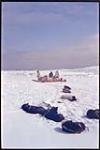 [Inuit men by a qamutiik with resting sled dogs] [between 1953-1969]