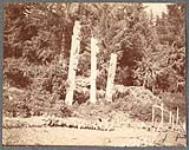[Tlingit monumental poles at Kake Village, Alaska]. Original title: Totem poles, Kake Village, S.E. Alaska [between 1889-1942].