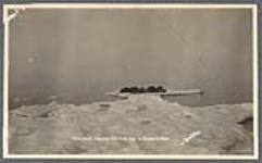 Walrus asleep on the ice in the Bering Sea [between 1889-1942]