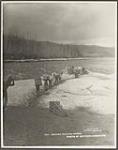 [First Nations men packing goods]. Original title: Indians packing goods 1901