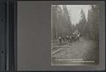 [Portaging around Fort Smith rapids, Slave River] 1901