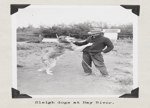 Sleigh dogs at Hay River 1930-1961