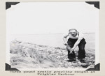 Three pound arctic grayling caught at Wrigley Harbour 1930-1961
