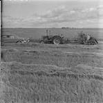 The Schiefner farm near Milestone, Sask Dec. 1956