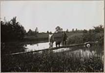 [John Jamieson Jr. (left) and John Echo (right) standing with a dog on a footbridge] 1914