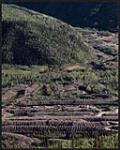 Dredge tailings from gold mining industry (ceased in 1960s) visible near Dawson City 1996