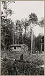 [Log house in the woods] [between 1910-1921]