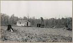 [House and shed located in cleared area of the woods] [between 1910-1921]