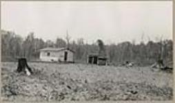 [House and shed located in cleared area of the woods] [between 1910-1921]