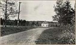 [Dirt road leading up to two-story house located in cleared area of the woods] [between 1910-1921]