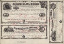 JACKSON, Suzanne - Scrip number 2050 - Amount 240.00$ - Certificate number 191 G 1885/08/19
