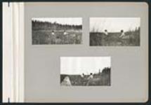 [Photographs of the community at Obishikokaang (Lac Seul First Nation), page 17] 1919