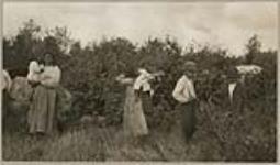 [Anishinaabe woman with children. A young girl is carrying a baby, likely her sibling, in a tartan cloth tikinagan] 1920