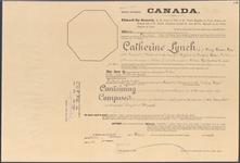 [Patent no. 14333, sale no. 115] 19 February 1906 (22 September 1904)