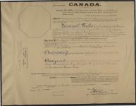 [Patent no. 16175, sale no. 87] 22 November 1910 (7 November 1894)