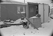[Exterior of a house and sled dog outside in Cape Dorset (Kinngait)] December 1980