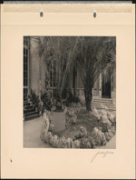 Interior Palm Court [between 1921 and 1970]