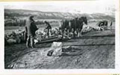 (Relief Projects - No. 58). Coleman, Alta. Men hauling rocks on skid with horses October, 1934