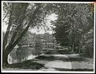 [View of footpath next to Patterson Creek looking west] [1927-1932].