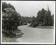 [Stretch of paved road in Rockcliffe with rock wall on right, trees on both sides] [1927-1932].